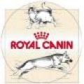 Karmy dla kotów Royal Canin